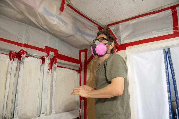 Best Comprehensive Air Testing for Mold Contaminants  in Fairmont, WV